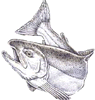 Charter your fishing experience of a lifetime!